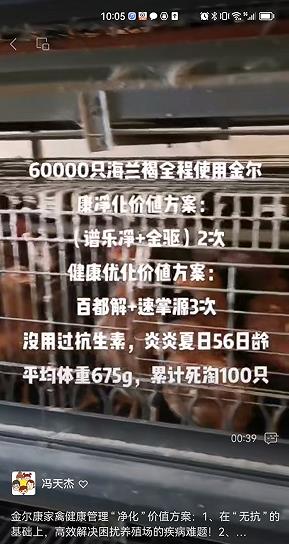 60000ֻ.jpg