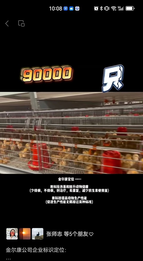 58-90000只鸡1.jpg