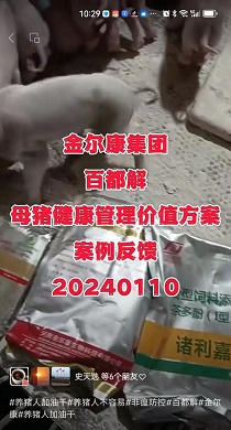 母猪健康仔猪更好养的雷竞技app安卓下载百都解母猪健康管理价值方案