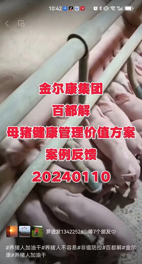 71-母猪健康管理价值方案1.jpg