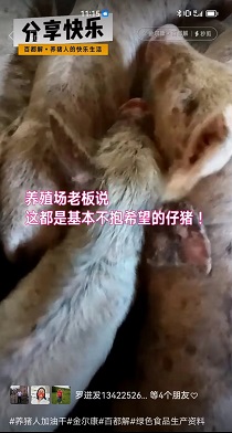 ��ӷ�̫���н�������������ֵ��������ֳ���ϰ岻��ϣ���Ľ����ɹ��ָ�������