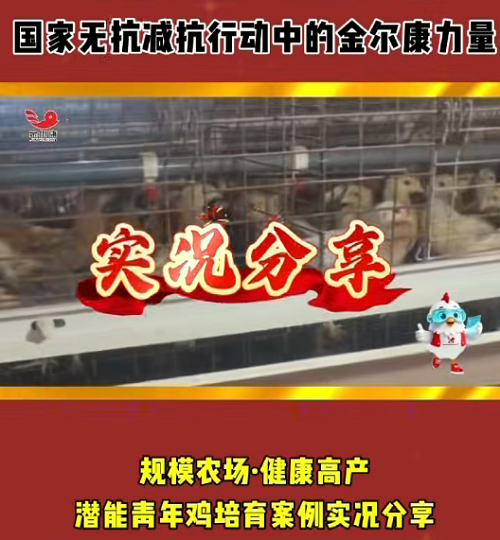 51-�����̿Ǽ���2.png