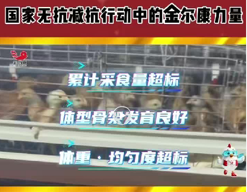 51-�����̿Ǽ���3-2.png