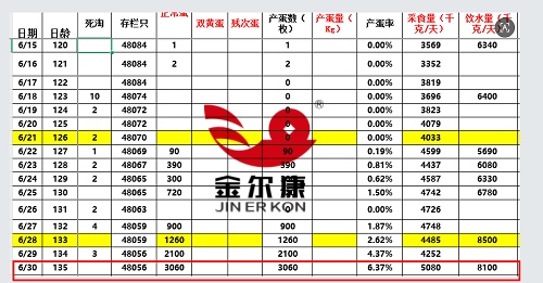 00-6.37%_����.jpg