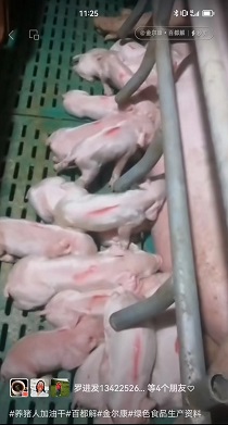 �ٶ���ĸ������������ֵ������ʹ�ú�С����С���Ȳ��̶�