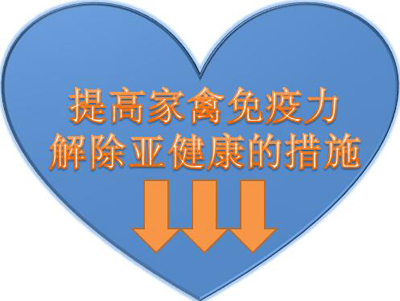 ʩ.jpg
