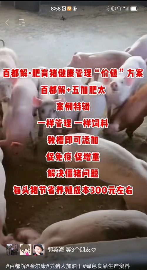 36-百都解育肥方案1.jpg
