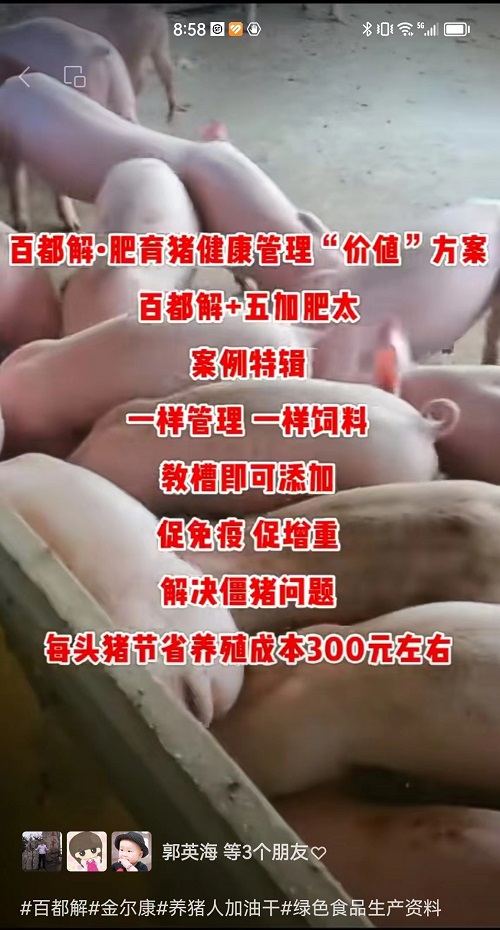 36-百都解育肥方案2.jpg