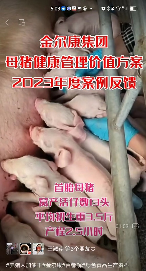 07-��̥����13ͷ.jpg